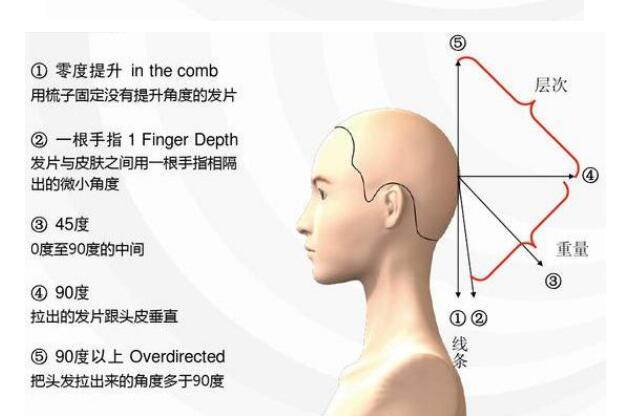 学美发基础